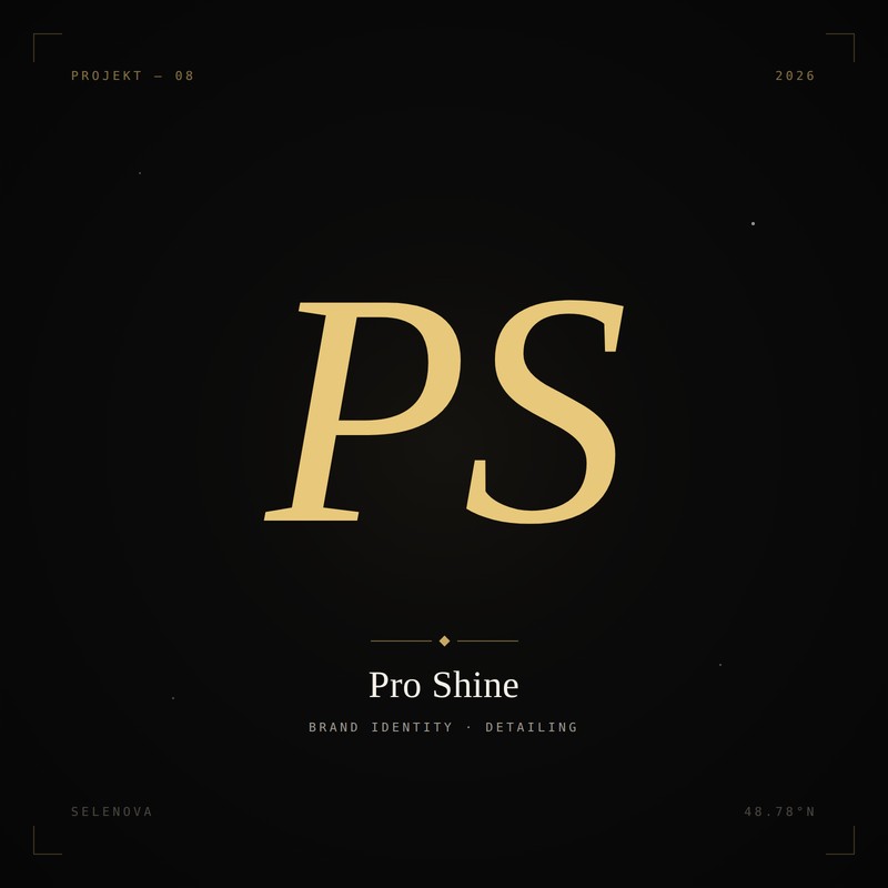Website von Pro Shine — Fahrzeugaufbereitung