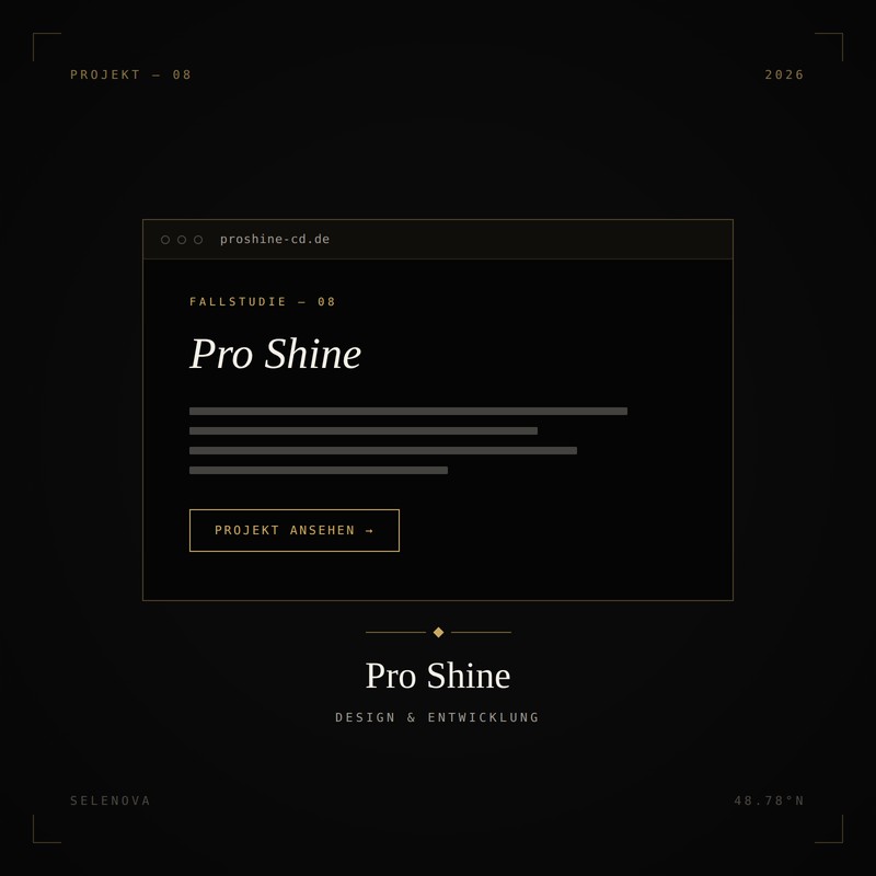 Markenauftritt von Pro Shine — Fahrzeugaufbereitung